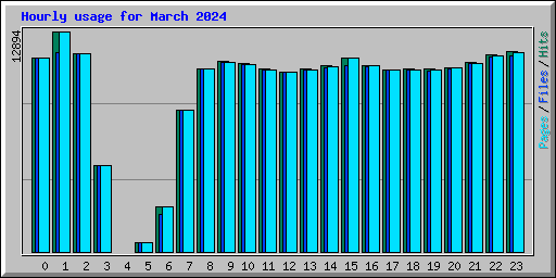 Hourly usage for March 2024