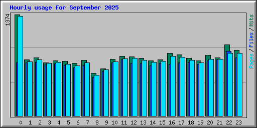 Hourly usage for September 2025
