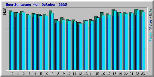Hourly usage for October 2025