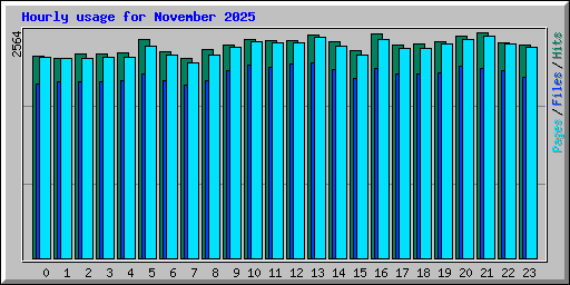 Hourly usage for November 2025