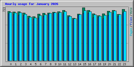 Hourly usage for January 2026