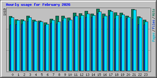 Hourly usage for February 2026